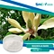 Magnolia bark is a versatile natural herb with a variety of potential health benefits. It can be taken as a dietary supplement, used in skincare products or added to tea.